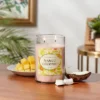 Glass Jar Mango Coconut Candle - Opalhouse™ 2 Glass Jar Mango Coconut Candle - Opalhouse™ -Home Decoration Sale Shop GUEST 86c199ef 4f61 4e98 b724 4f64945e7439