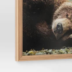 20" X 16" Bear Photography Framed Art Brown - Threshold™ 7 20" X 16" Bear Photography Framed Art Brown - Threshold™ -Home Decoration Sale Shop GUEST 8d29808a 8d0a 4121 a8c8 64d15cc45658