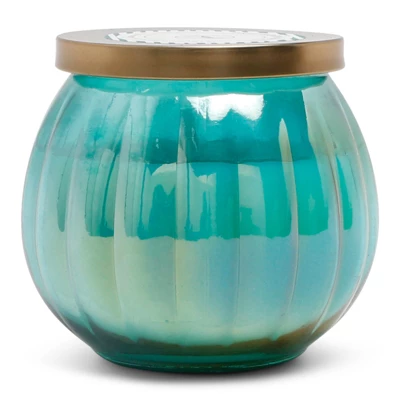 14oz Lidded Glass Jar Candle Driftwood & Sea Salt - Fresh Collection - Opalhouse™ 3 14oz Lidded Glass Jar Candle Driftwood & Sea Salt - Fresh Collection - Opalhouse™